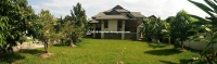 Beautiful House for sale in Su Thep, Chiangmai, Thailand.